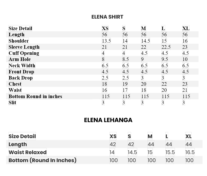 Embroidered Chiffon Lehanga Suit - Elena