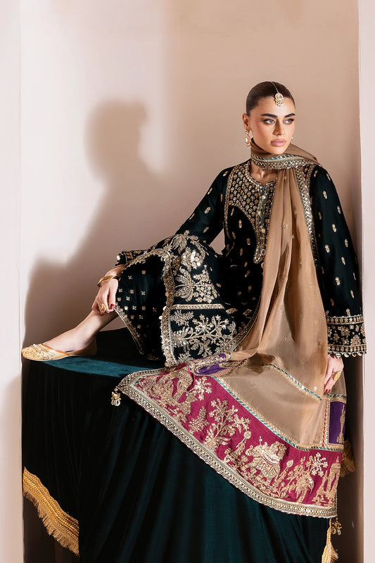 Embroidered Velvet Formal D-01