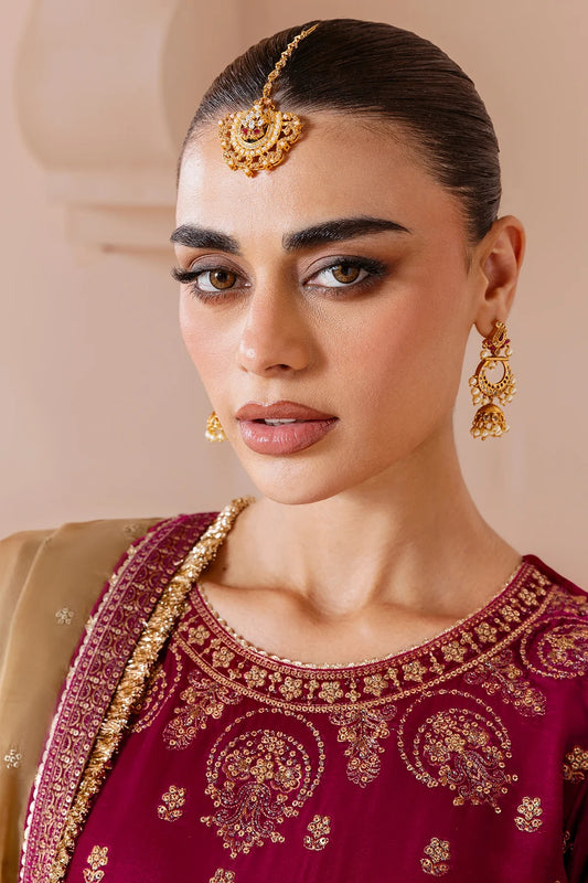 Embroidered Velvet Formal D-11