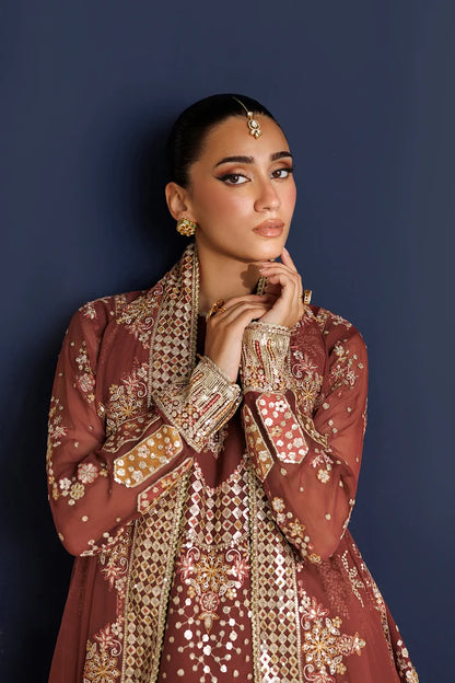 Rust Embroidered Chiffon Suit - Rust Muse
