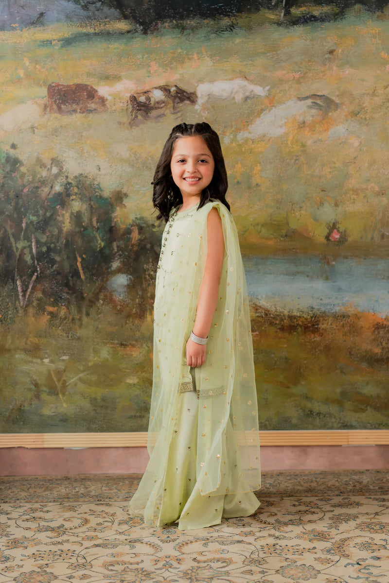 Kids Embroidered Sharara Suit