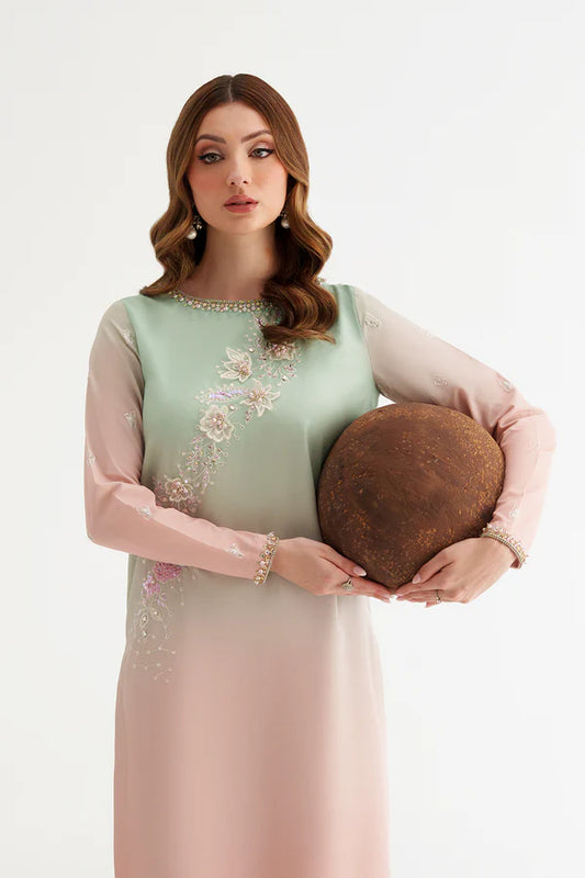 Gradient Silk Embroidered 3PC - AM-43