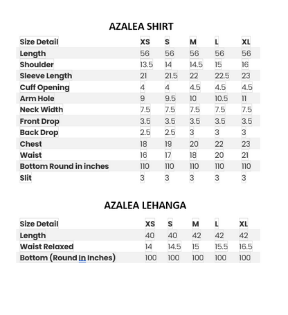 Embroidered Purple Lehanga Set - Azalea