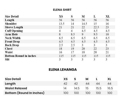 Embroidered Chiffon Lehanga Suit - Elena