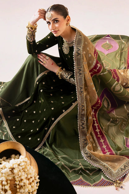 Embroidered Velvet Formal  D-09