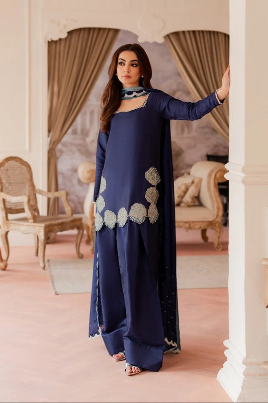 A woman models a navy blue traditional outfit with silver embroidery in an elegant indoor setting with beige walls and curtains.