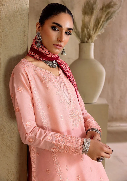 Embroidered Ready to Wear - C2503